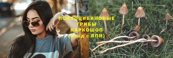 MDMA Premium VHQ Новозыбков