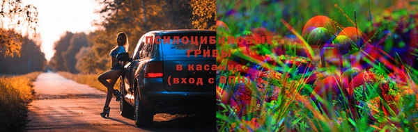 MDMA Premium VHQ Новозыбков