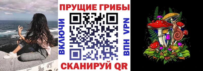 Галлюциногенные грибы ЛСД  Купить закладки  Сургут 